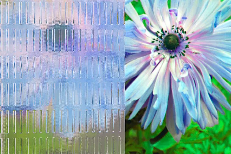 decorative ornamental glass master ray